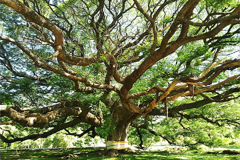 HTML5 Bootstrap Template by colorlib.com